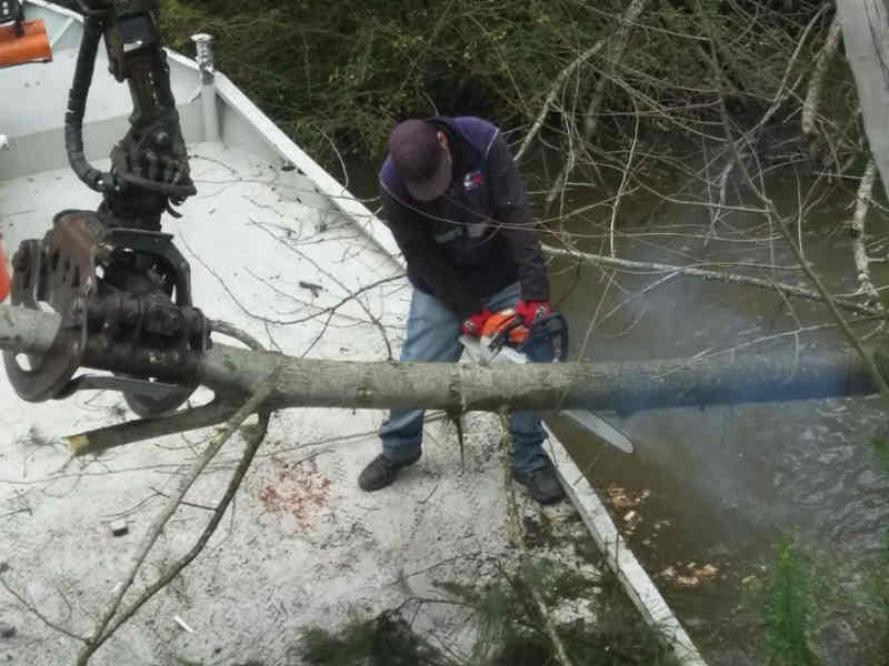 Realizan mantenimiento integral en más puntos del Delta de Tigre
