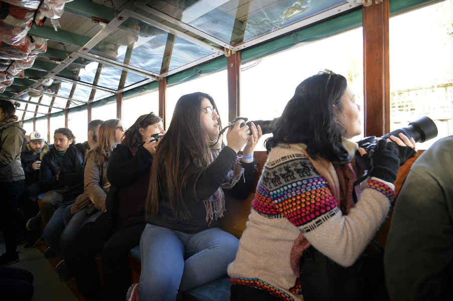 En el Día del Fotógrafo, vecinos y turistas disfrutaron del Tigre Photo Fest 2019 En el Día del Fotógrafo, vecinos y turistas disfrutaron del Tigre Photo Fest 2019
