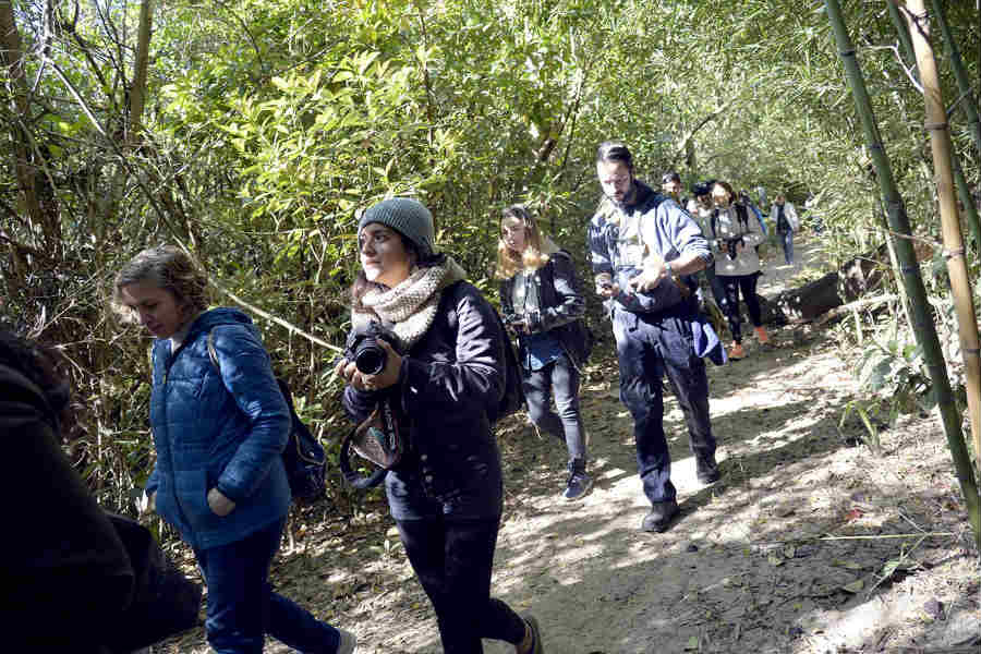 En el Día del Fotógrafo, vecinos y turistas disfrutaron del Tigre Photo Fest 2019 En el Día del Fotógrafo, vecinos y turistas disfrutaron del Tigre Photo Fest 2019