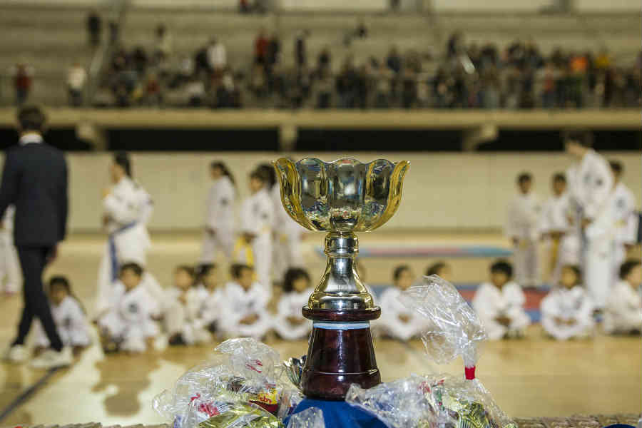 El Microestadio Municipal “Ricardo Rusticucci” fue sede del 12º encuentro anual del Centro Argentino de Taekwondo (CAT). El mismo reunió a más de 200 jóvenes taekwondistas durante la mañana de este domingo.
