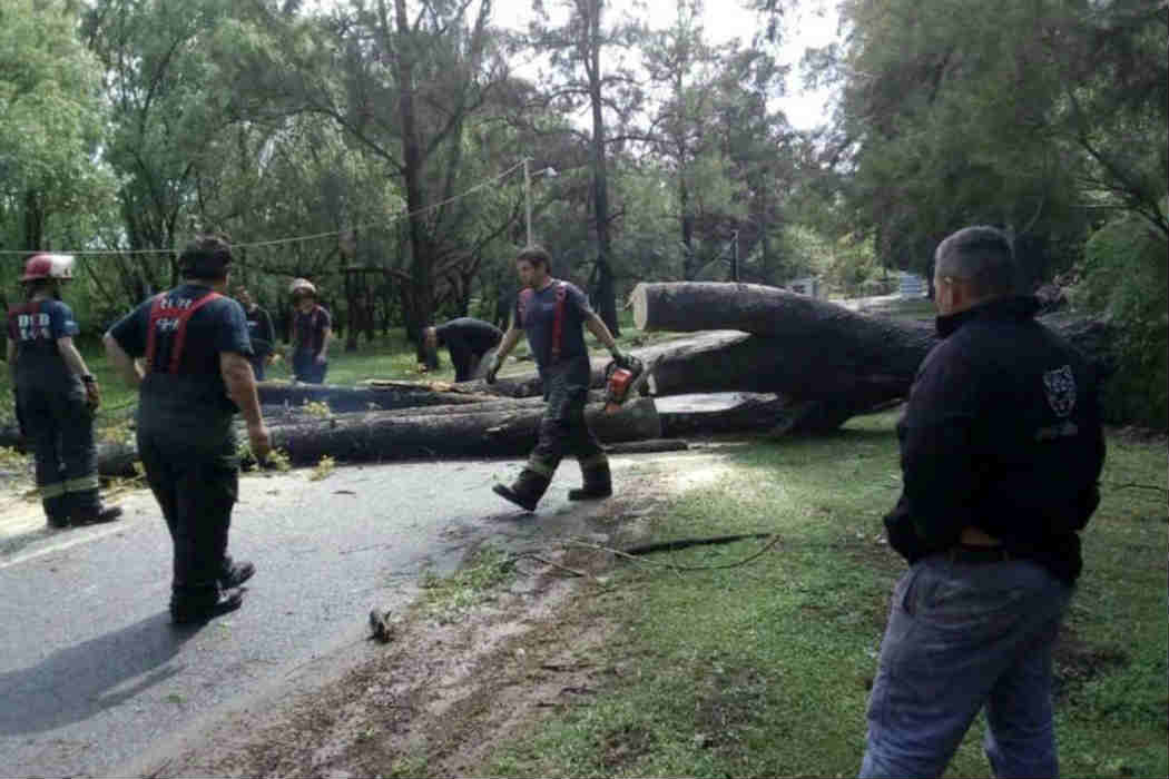 Tigre desplegó un operativo de emergencia para asistir a los vecinos afectados por el temporal
