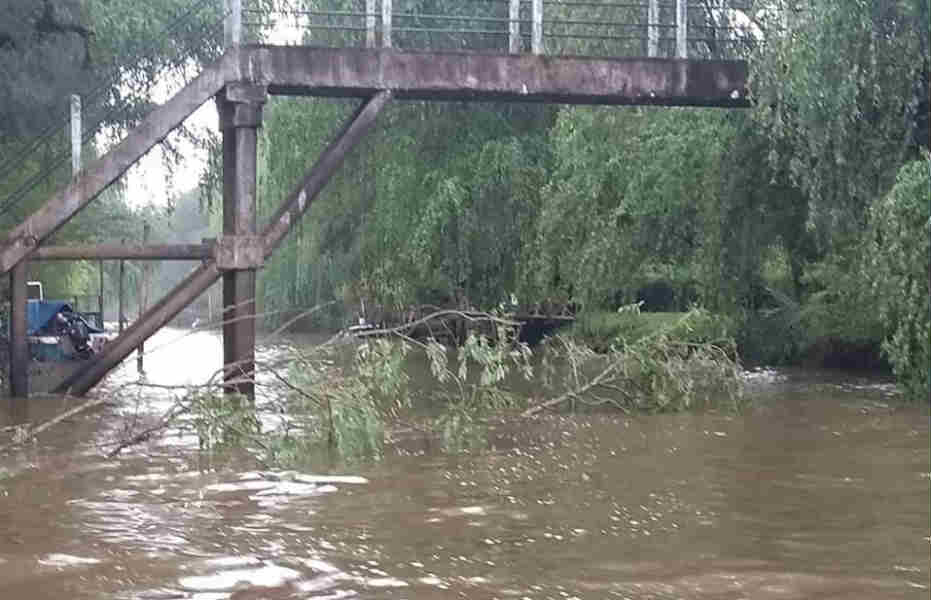 Tigre realizó un operativo de destronque en el Delta 
