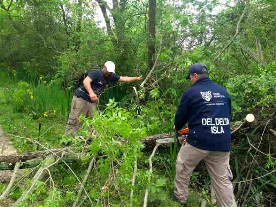 Tigre realizó un operativo de destronque en el Delta 