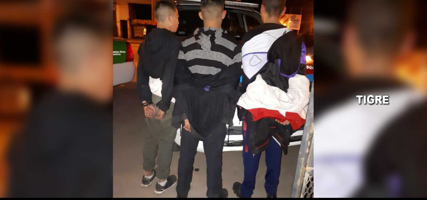 Video: El COT detuvo a 7 delincuentes que robaron en la casa de Mariano Macri en Pacheco
