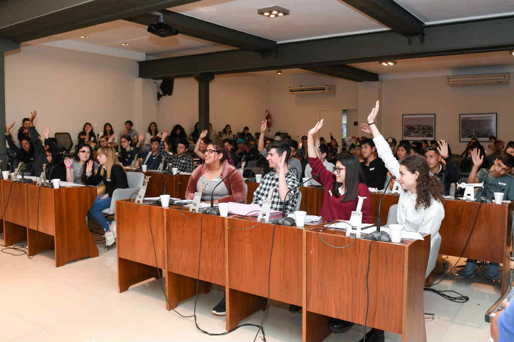 Alumnos de San Fernando fueron concejales por un día por el cuidado del medio ambiente
