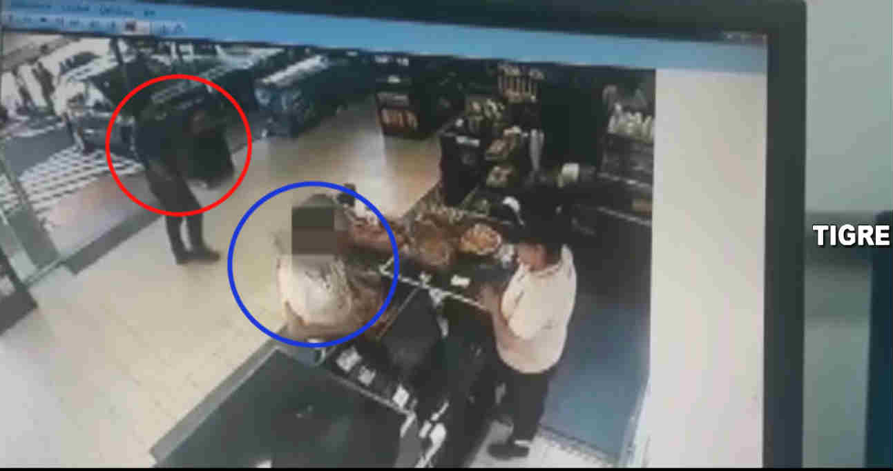 Cayeron tres ladrones por robar con inhibidores de alarmas en el Centro Comercial de Nordelta