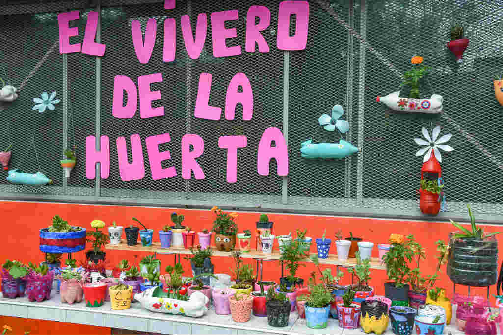San Fernando junto al Colegio Madre Rafaela en el proyecto de una huerta natural orgánica