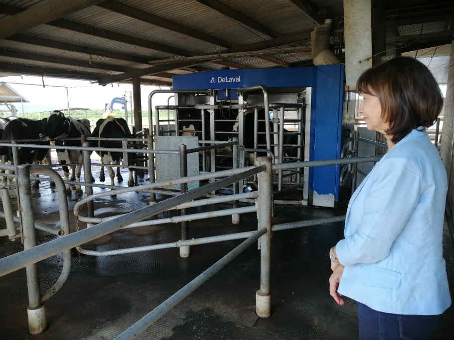 Alicia Aparicio visitó la ciudad de Rafaela para tratar la problemática del sector lechero