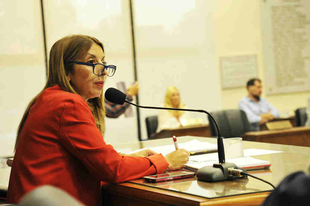 El HCD de Tigre aprobó el presupuesto y la fiscal impositiva 2020 - Alejandra Nardi