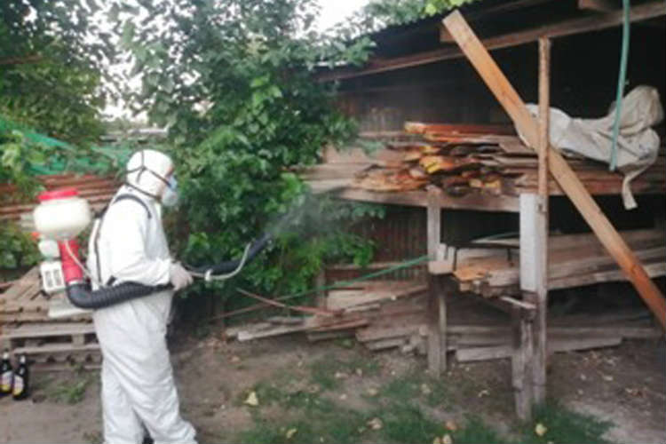Tigre fortalece su sistema de fumigaciones localizadas para prevenir la propagación del Dengue