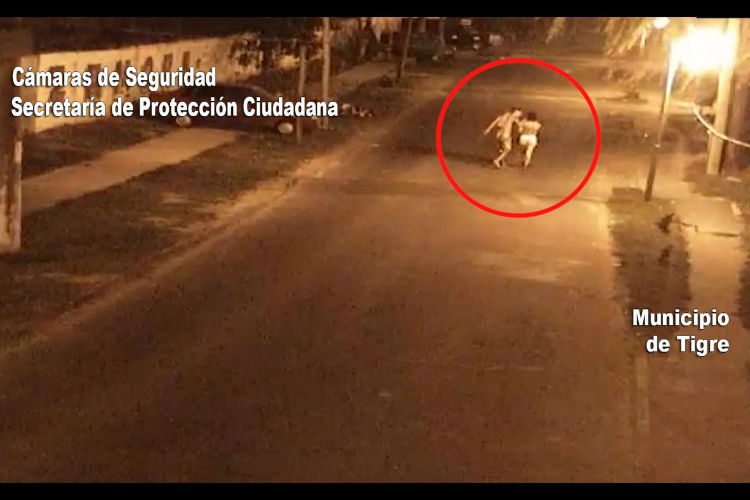Video: Así detuvieron al presunto asesino de una mujer en Tigre