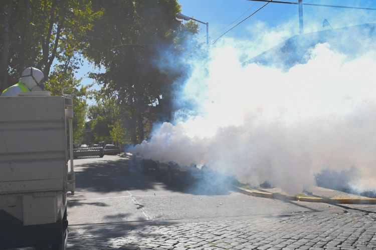 San Fernando realiza nuevos operativos de fumigación contra el dengue