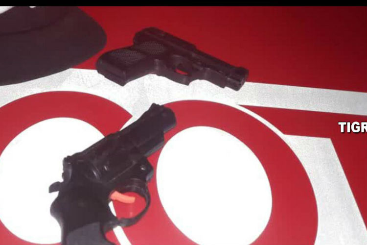 Don Torcuato: Las cámaras de Tigre detectaron a sujetos con réplicas de armas de fuego Don Torcuato: Las cámaras de Tigre detectaron a sujetos con réplicas de armas de fuego