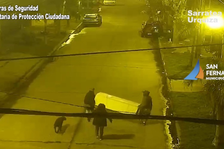 San Fernando: Robaron una heladera y los detectaron por las cámaras