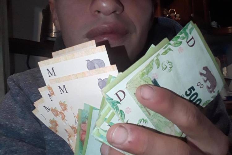 José C. Paz: Detienen por el crimen de la jubilada a un pariente que se fotografió con los billetes