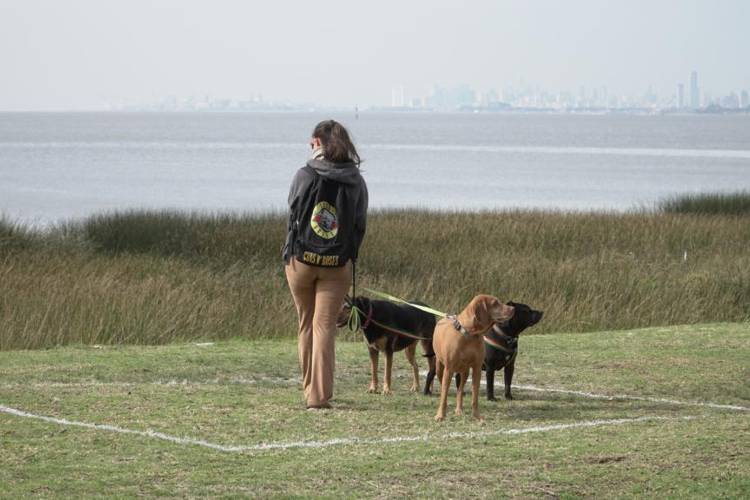 San Isidro pinta cuadrados en espacios públicos para marcar el distanciamiento social