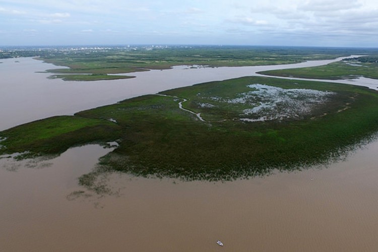 Las nuevas islas de San Isidro fueron declaradas reserva natural Las nuevas islas de San Isidro fueron declaradas reserva natural