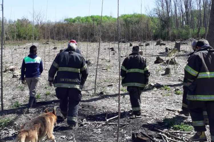 El Municipio y Bomberos extinguieron incendios en el Delta de San Fernando