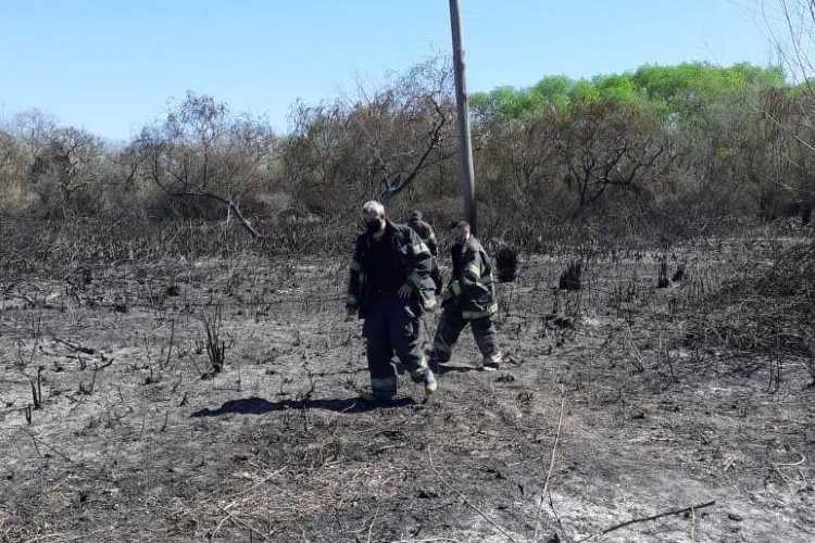 El Municipio y Bomberos extinguieron incendios en el Delta de San Fernando