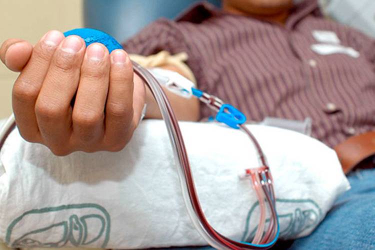 Doná sangre en San Fernando: el jueves se hará una colecta por el Día del Donante Doná sangre en San Fernando: el jueves se hará una colecta por el Día del Donante