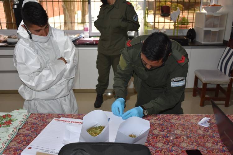 Operación “Reina Tití”: incautan 389 kilogramos de cocaína en plena ruta 9