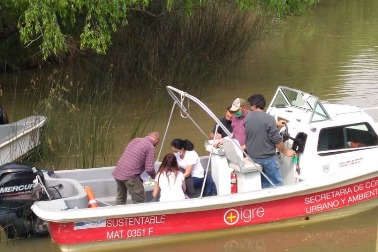 Continúan las inspecciones y clausuras en el Delta de Tigre Continúan las inspecciones y clausuras en el Delta de Tigre