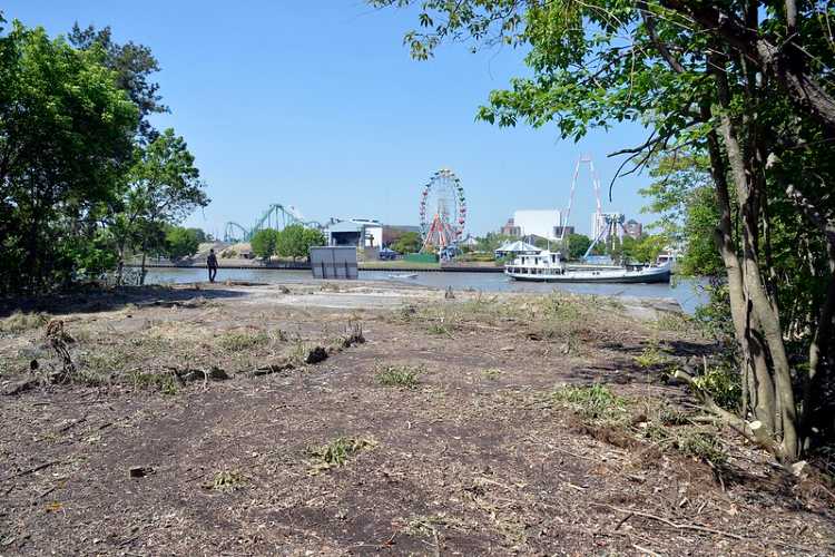 El Municipio de Tigre recuperó un importante predio en el Delta y lo destinará a la preservación ambiental