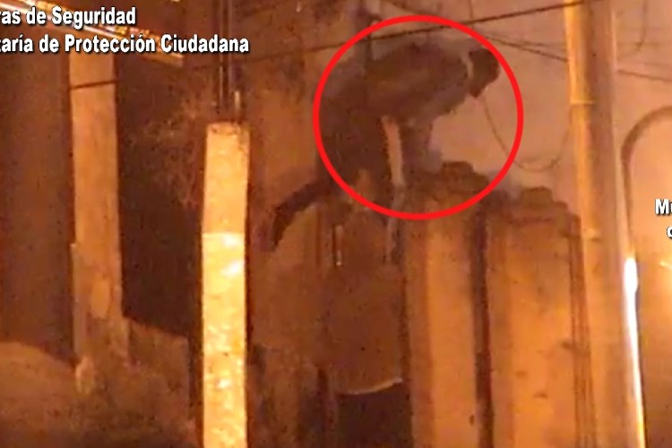 Cayeron tres ladrones que pretendieron robar en una vivienda de Don Torcuato Cayeron tres ladrones que pretendieron robar en una vivienda de Don Torcuato