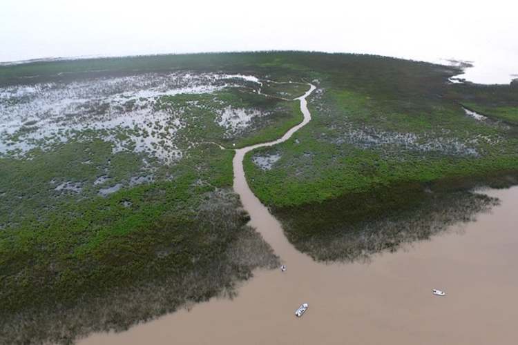 San Isidro suma nuevas áreas naturales protegidas. San Isidro suma nuevas áreas naturales protegidas.