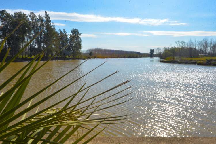 Día Mundial de los Humedales: San Fernando concientiza y trabaja en el cuidado del Delta. Día Mundial de los Humedales: San Fernando concientiza y trabaja en el cuidado del Delta.