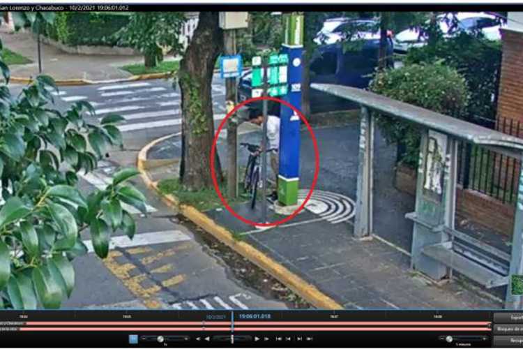 Por robar una bicicleta le encontraron 14 plantas de marihuana