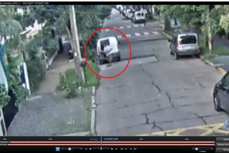 Por robar una bicicleta le encontraron 14 plantas de marihuana