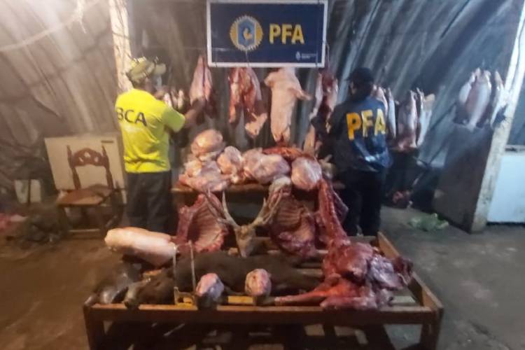 Un detenido por caza ilegal en el Delta de San Fernando