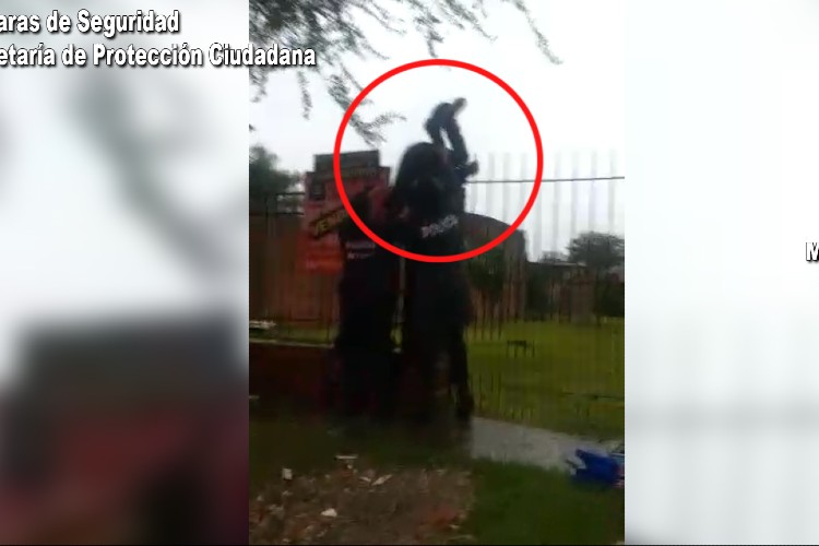 Camaras de seguridad, detenido, Tigre, Alerta Tigre Camaras de seguridad, detenido, Tigre, Alerta Tigre