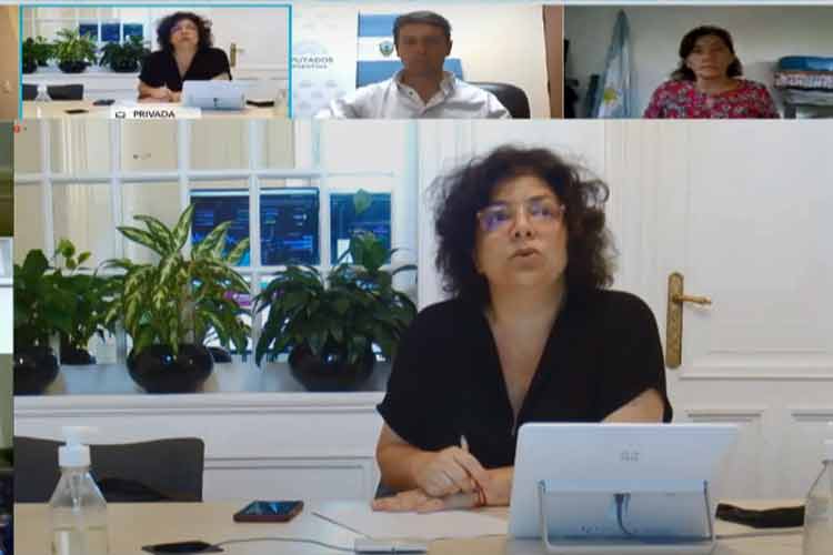 Carla Vizzotti expuso en diputados ante el aumento de casos de Covid-19