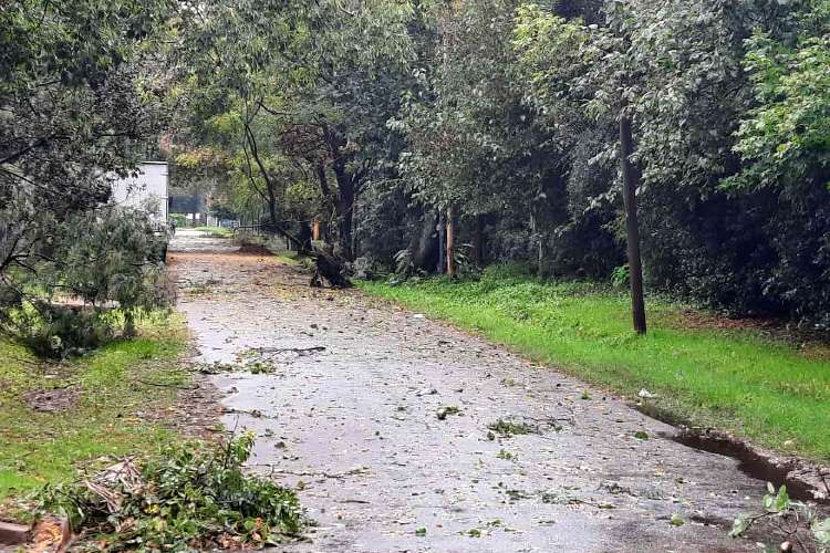Un Fuerte Temporal causó destrozos en Las Tunas y Benavídez. Un Fuerte Temporal causó destrozos en Las Tunas y Benavídez.