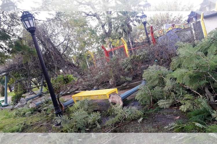 Un Fuerte Temporal causó destrozos en Las Tunas y Benavídez. Un Fuerte Temporal causó destrozos en Las Tunas y Benavídez.