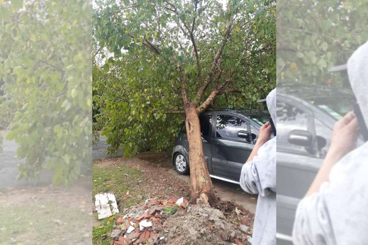 Un Fuerte Temporal causó destrozos en Las Tunas y Benavídez. Un Fuerte Temporal causó destrozos en Las Tunas y Benavídez.