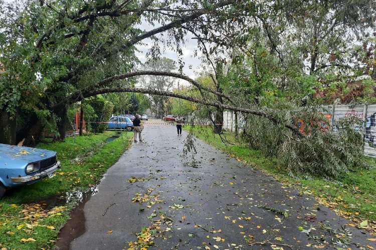 Un Fuerte Temporal causó destrozos en Las Tunas y Benavídez. Un Fuerte Temporal causó destrozos en Las Tunas y Benavídez.