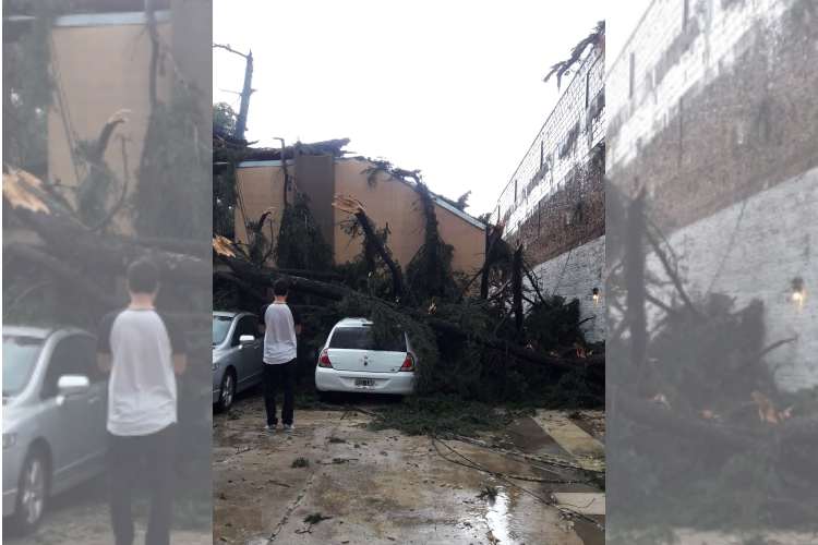 Un Fuerte Temporal causó destrozos en Las Tunas y Benavídez. Un Fuerte Temporal causó destrozos en Las Tunas y Benavídez.