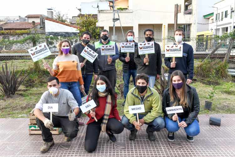 San Fernando fomenta la reproducción de las mariposas monarcas San Fernando fomenta la reproducción de las mariposas monarcas