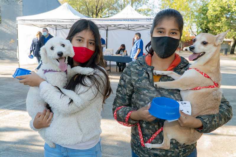 San Isidro: Dónde vacunar mascotas esta semana