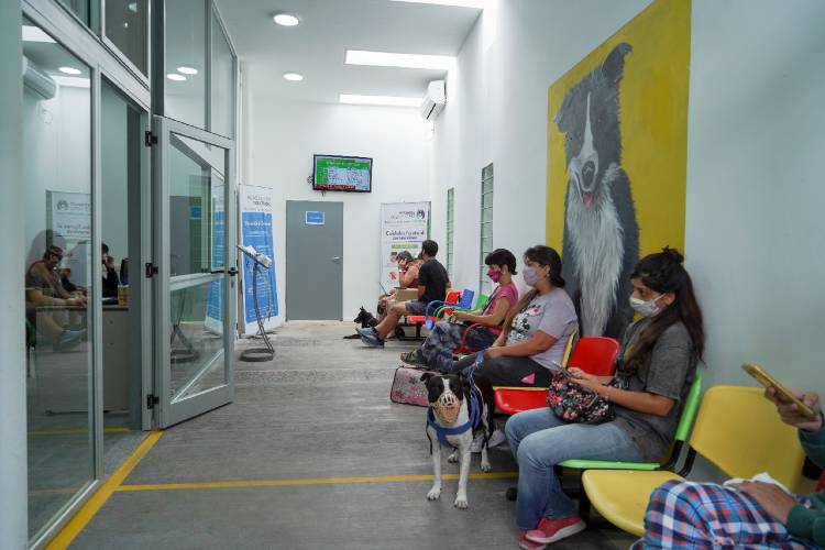 Jorge Macri recorrió las obras finalizadas del centro de Zoonosis de Vicente López