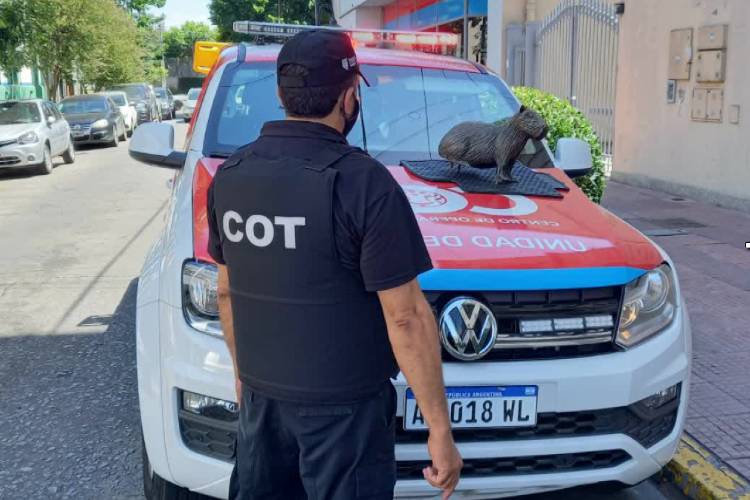 Roban un carpincho de bronce de la estación de trenes de Tigre y fueron detenidos Roban un carpincho de bronce de la estación de trenes de Tigre y fueron detenidos