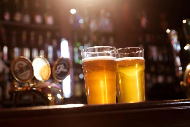 Llega la Noche de Vilo Cervecero Llega la Noche de Vilo Cervecero