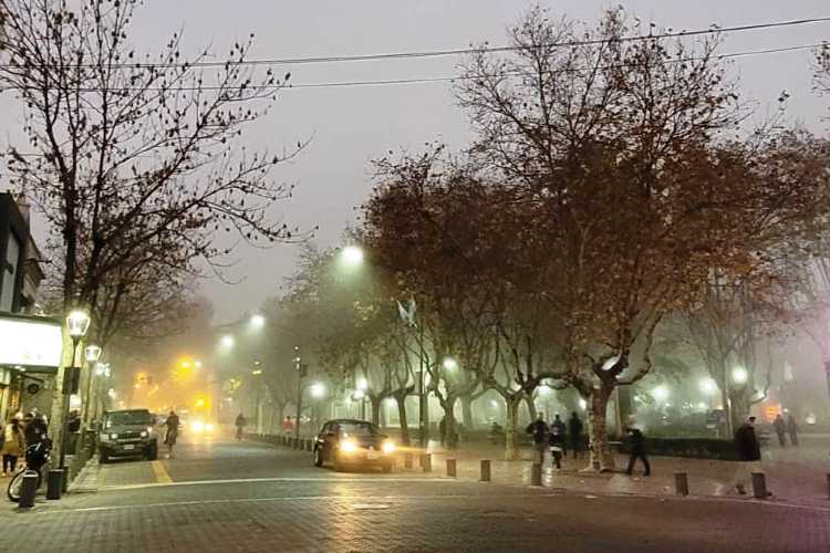 Dan Fernando - Niebla Dan Fernando - Niebla