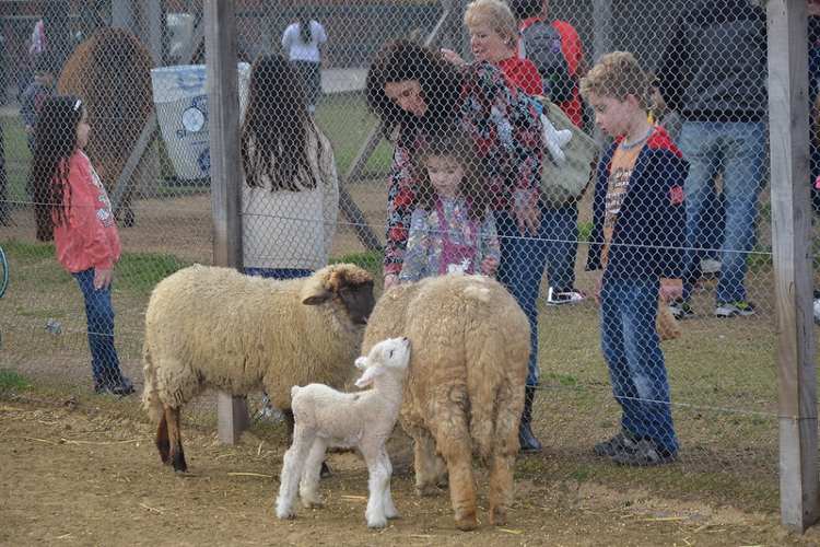 Chacra San Isidro Labrador