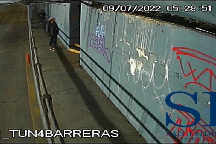 Detienen a un grupo de jóvenes por vandalizar el Tren de la Costa y un túnel en San Isidro