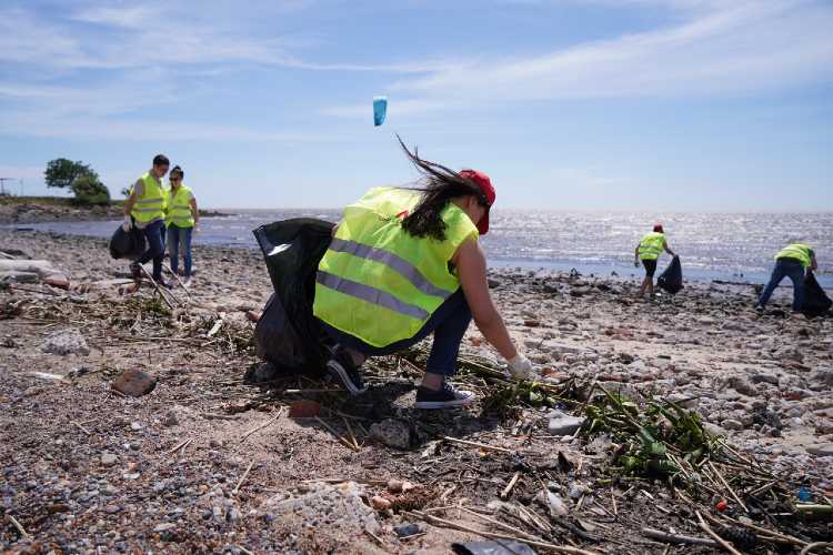 Vicente López recolectó más de 220 kilos de residuos en una jornada de limpieza de la costa
