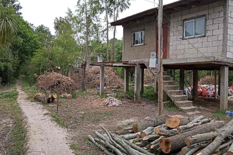 El Municipio de Tigre detectó desmontes ilegales en Islas del Delta